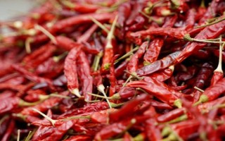 什么品種的干辣椒最辣、最香，推薦七星椒、子彈頭、新一代等