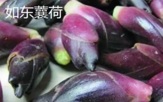 江蘇南通市如東縣的特產(chǎn)，如東條斑紫菜暢銷各地