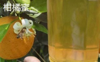 柑橘蜜和油菜蜜的區(qū)別，柑橘蜜市場上比較少