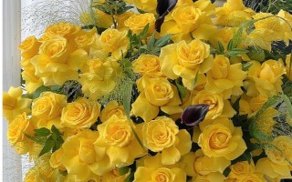 黃玫瑰的花語，寓意已逝的愛、等待的愛等