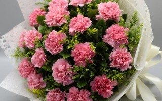 康乃馨的花語，代表永恒、質(zhì)樸、健康、母親的愛