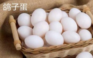 蛋的品種，最常見(jiàn)的種類(lèi)是雞蛋