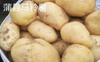 山西省蒲縣的特產(chǎn)，蒲縣黑木耳非常有名