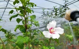 大量元素水溶肥的特點(diǎn)，具有全溶于水的特點(diǎn)