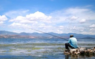 底釣鰱鳙的效果，效果良好、可使用酸臭味魚餌