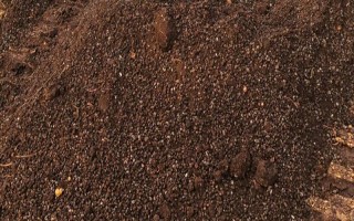 茶葉渣怎樣做肥料，與土1:5混和并堆積加水發(fā)酵即可