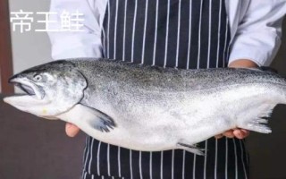 三文魚的產(chǎn)地，主產(chǎn)于俄羅斯、美國(guó)、加拿大、日本、挪威