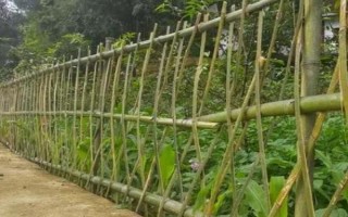 菜園瓜地怎么驅(qū)鳥，可以掛布條、扎稻草人等