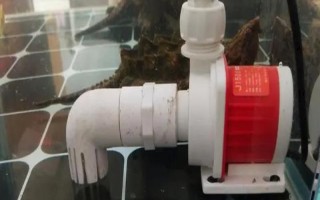 怎么能讓魚缸水泵靜音，需固定管路