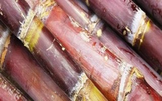 甘蔗發(fā)紅削了還能吃嗎，可能是發(fā)霉變質了不能食用