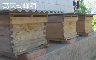中蜂箱能放幾框合適，標(biāo)準(zhǔn)箱能容納10個(gè)巢框