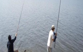 釣魚怎么看漂提竿，每個(gè)魚種漂相不一樣