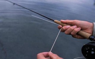 馬口魚的生活環(huán)境，常棲息在山澗溪流中