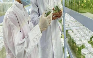 什么是航天育種，是利用太空特殊的誘變作用讓種子發(fā)生變異