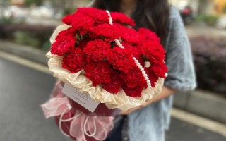 紅色康乃馨適合送什么人，適合贈送給母親或師長