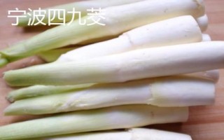 茭白的品種有哪些，這七個(gè)品質(zhì)佳且產(chǎn)量高