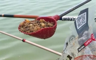夜釣用蚯蚓還是餌料好，取決于魚情、釣法、環(huán)境