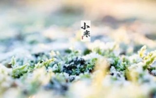 二十四節(jié)氣中最冷的是哪個(gè)，小寒是一年中氣溫最低的節(jié)氣