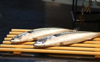 青花魚是鲅魚嗎，二者是不同的兩種魚