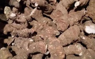植物性藥材包括哪些浸出過(guò)程，分別為浸潤(rùn)與滲透、解吸與溶解、擴(kuò)散、置換