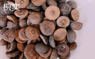 枳殼和枳實(shí)的區(qū)別，外形和藥性均不同