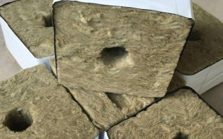 栽培基質(zhì)的種類，常見的有珍珠巖、巖棉等