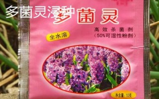 十個蔬菜藥劑浸種方法，浸泡時間多為半小時