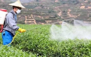誤食精喹禾靈怎么處理，要盡快用清水漱口