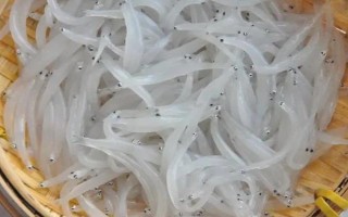 丹江口市銀魚的產(chǎn)地，產(chǎn)地主要在湖北十堰丹江口市