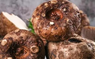 魔芋簡介，屬于一種類似芋頭的食物
