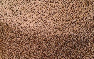 怎么制作素食飼料，將各種原料混勻拌成糊狀、在鍋內(nèi)攪拌成顆粒后再焙干