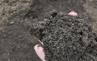 有機(jī)肥和生物菌肥的區(qū)別，前者本身含有多種養(yǎng)分、后者通過微生物的生命活動產(chǎn)生肥效