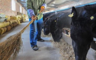 養(yǎng)驢的成本和利潤(rùn)，1頭驢的總成本為5400元左右