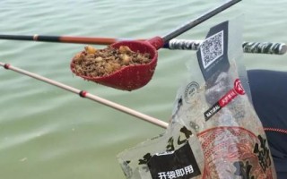 酒米打窩要提前多長時間，春秋季節(jié)可提前半小時