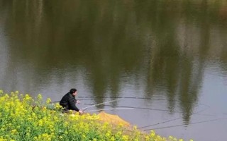 臺釣鯽魚子線要多長，根據(jù)魚情、季節(jié)、釣法等決定