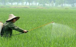 馬拉硫磷農(nóng)藥可以殺什么蟲，主要防治粘蟲、蚜蟲、葉蜂、食心蟲等