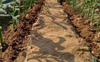 基肥是什么肥料，指的是在作物播種前所施用的肥料
