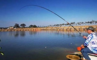 鳙魚怎么釣以及要注意什么，需選擇氣溫超過15℃的天氣作釣