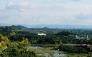 四川省營山縣的特產(chǎn)，油豆腐、咂酒、酸辣豆花很有名