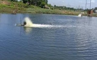 魚(yú)塘改底多久一次，一般1-3個(gè)月改底一次