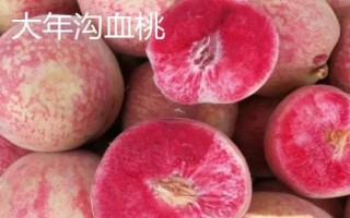 河南魯山縣的特產(chǎn)，張良姜種植歷史悠久