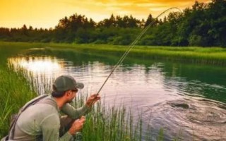 秋釣技巧，在水草區(qū)、入水口等位置釣魚(yú)更容易釣獲
