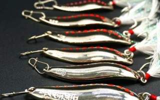 釣馬口魚的方法，屬小型淡水魚類