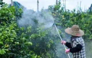 怎么提高微生物農(nóng)藥的藥效，在25-30℃的氣溫下打藥可增強(qiáng)藥效
