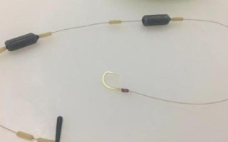 1.2號子線能釣幾斤的魚，3斤至4斤的魚適合釣