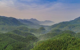 南方地區(qū)的自然特征與農(nóng)業(yè)，種植業(yè)以水稻為主