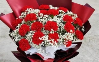 紅色康乃馨適合送什么人，適合贈送給母親或師長