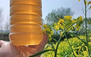 油菜蜜的價(jià)格,各地區(qū)的售價(jià)差異較大