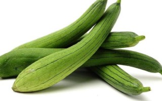 優(yōu)質(zhì)絲瓜品種介紹，推薦早優(yōu)一號(hào)、新早冠406等
