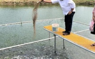 夏季水產(chǎn)養(yǎng)殖如何管理，施肥要少許多次